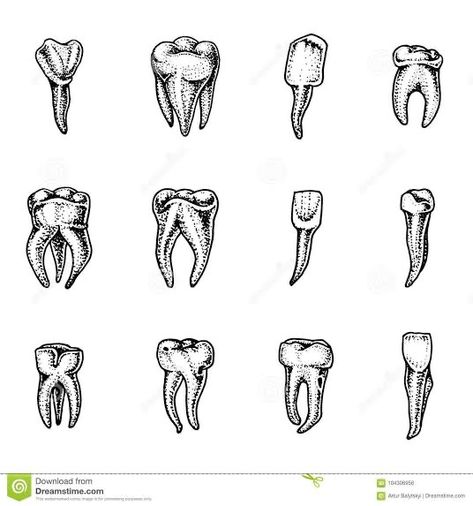 Dental Artwork, Dentist Art, Teeth Drawing, Tooth Tattoo, Spooky Tattoos, Tattoo Design Book, Nature Tattoos, Lithography, Digital Art Girl