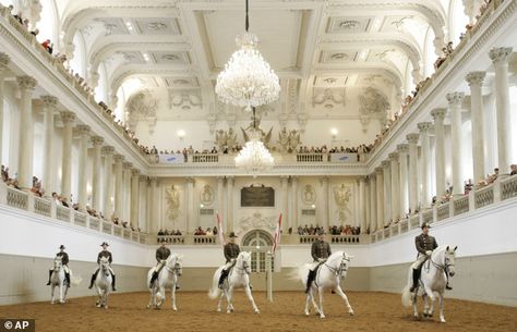 Spanish Riding School Vienna, Iberian Horse, Lippizaner, Horse Riding School, Spanish Riding School, School Performance, Trick Riding, Riding School, Riding Arenas