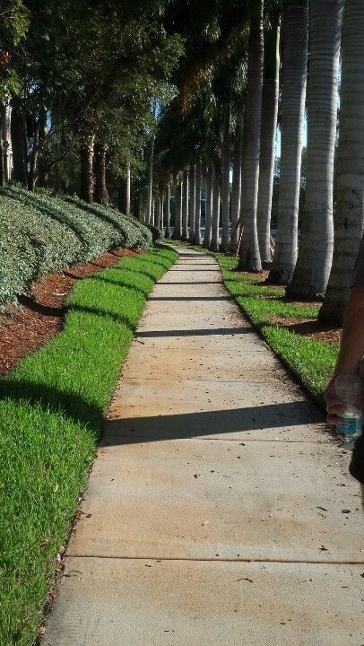 Walk & exercise with this view; Weston, Florida South Walton Beach Florida, Nokomis Florida, Weston Florida, Florida State Map, Florida Trail, State School, Best Places To Live, Community Events, Fort Lauderdale