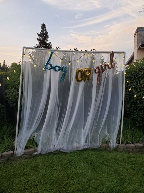 Backyard Gender Reveal, Garden Gender Reveal, Simple Gender Reveal Ideas, Gender Reveal Backdrop, Simple Gender Reveal, Gender Reveal Themes, Gender Party, Gender Reveal Party Decorations, Baby Gender Reveal Party