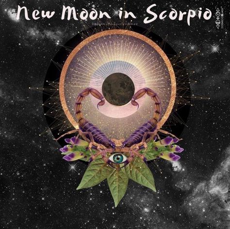 New Moon Scorpio, Saturn In Capricorn, Scorpio November, Scorpio New Moon, Cosmic Collage, New Moon In Scorpio, 13th Zodiac Sign, Moon In Scorpio, Moon Magick