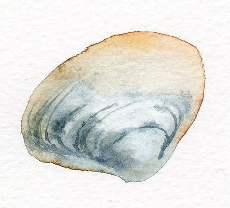 Seashells Painting, Professional Watercolor, Seashell Painting, Diy Watercolor Painting, Watercolor Ocean, Watercolor Projects, Watercolor Paintings Easy, Watercolor Art Lessons, Watercolor Inspiration