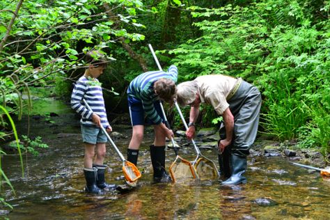 Pond Dipping, Connected To Nature, Caddis Flies, Play Outside, Most Beautiful Animals, Free Play, Maria Montessori, Hiding Places, Fun Family Activities