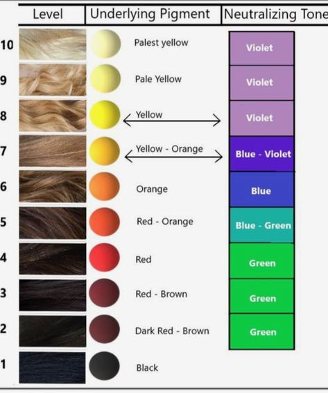 Mobile Barbershop, Hair Color Wheel, Hair Color Techniques, Color Techniques, Color Wheel, Barber Shop, Hair Color, Lily, Wheel