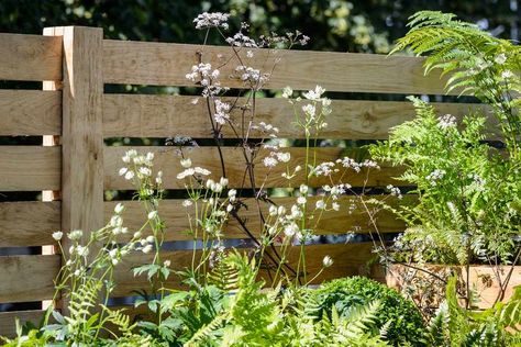 Low Fence, Garden Fences, Backyard Swings, Growing Lavender, Minimalist Garden, Backyard Privacy, Fence Landscaping, Backyard Fences, Garden Fencing