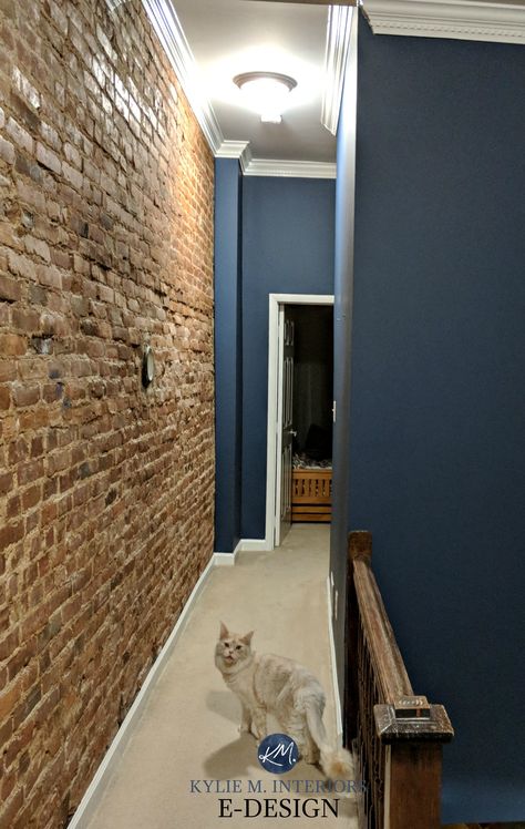 Benjamin Moore Newburyport Blue, navy blue with red brick feature wall in dark hallway. Kylie M INteriors Edesign, online paint color consulting, virtual Navy Blue Basement Walls, Dark Blue Basement Walls, Dark Blue Basement, Blue Basement Walls, Navy Blue Basement, Navy Basement, Navy Blue Hallway, Blue Basement, Ultimate Basement