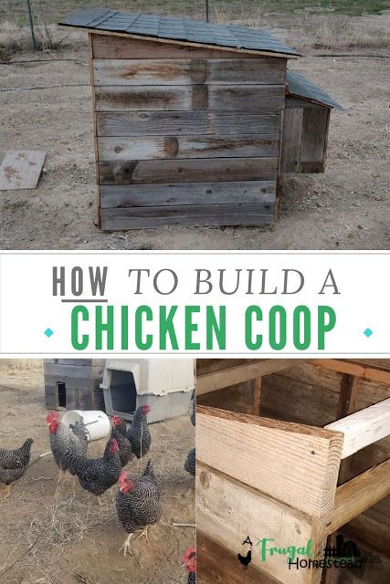 Chicken Coop Out Of Pallets, Easy Diy Chicken Coop Plans, Pallet Coop, Wood Pallet Fence, Easy Diy Chicken Coop, Chicken Shelter, Build A Chicken Coop, Cheap Chicken Coops, Chicken Coop Pallets