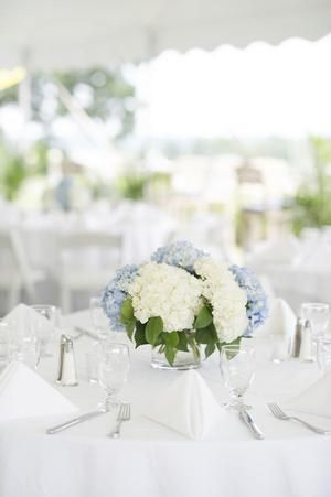 Hydrangea Blue Centerpiece, Blue Spring Wedding Flowers, Blue Wedding Flowers Bouquet White Hydrangeas, Hydrangea Wedding Centerpieces Simple, Wedding Centre Piece Ideas Long Tables, Hydrangea Centre Pieces, Hydrangeas At Wedding, White Rose And Blue Hydrangea Bouquet, Coastal Connecticut Wedding