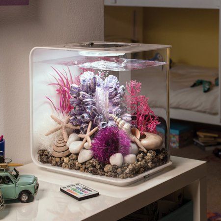 Square Aquarium, Biorb Fish Tank, Klein Aquarium, Small Aquarium, Fish Tank Themes, Aquarium Set, Small Fish Tanks, Cool Fish Tanks, Fish Tank Design