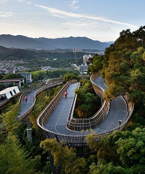 fuzhou forest walkway by LOOK architects offers access to nature Forest Pathway, Forest Walk, Landscape Plaza, Urban Forest, Pedestrian Walkway, Public Space Design, Mountain Park, Forest Trail, Pedestrian Bridge