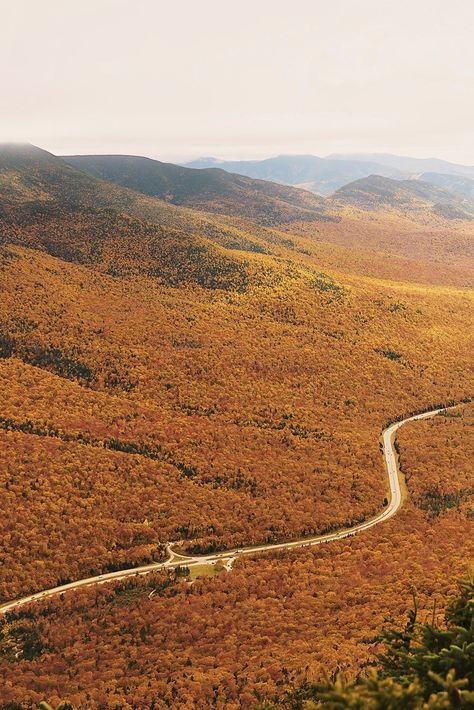 “Cannon Mountain via Kinsman Ridge Trail is a 3.8 mile heavily trafficked out and back trail located near Franconia, New Hampshire that features beautiful wild flowers and is rated as difficult. The trail is primarily used for hiking and running and is best used from April until October.” - Alltrails 📸: Cloris Ying #travel #traveldestination #aesthetic #Traveltips #fall #autumn #fallleaves #falltrip Franconia New Hampshire, 8 Mile, American English, Fall Travel, Natural Scenery, Travel News, The Trail, New Hampshire, Hampshire