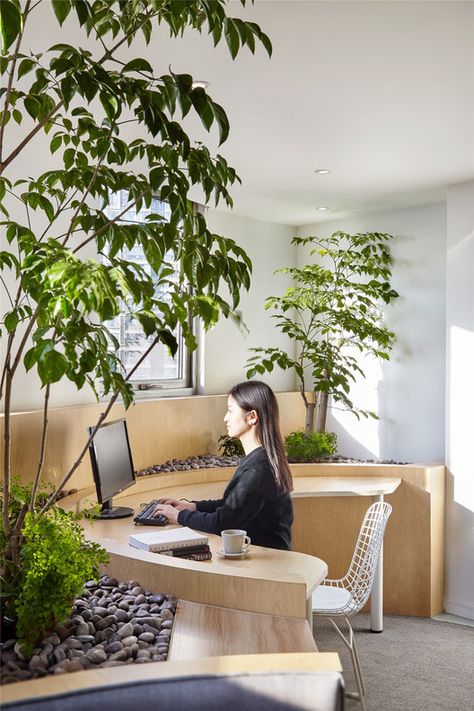 A Hidden Garden Behind the Concrete Walls / Muxin Design | ArchDaily Green Office Design, Plant Office Design, Chinese Office, Zen Office, Natural Office, Innovative Office, Green Office, Modern Office Design, Office Plants