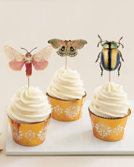 Insect Cake Topper, Moth Birthday Party, June Bug Birthday Theme, Bug Theme Cake, Bug Themed Wedding, Cute Bug Birthday Party, Insect Theme Birthday Party, Girl Bug Birthday Party, Insect Cupcakes