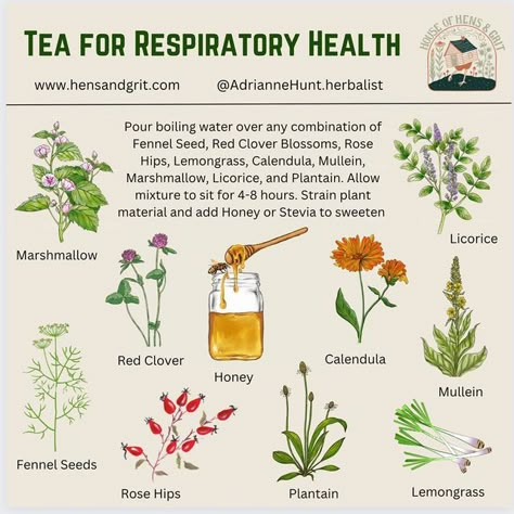 Herbs Medicinal, Tea Blends Recipes, Herbal Education, Medicinal Herbs Garden, Healing Tea, Medical Herbs, Herbal Teas Recipes, Magic Herbs, Herbal Apothecary