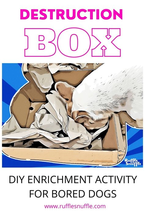 How to Make a Destruction Box: DIY Brain Games for Dogs Big Dog Enrichment, Digging Box For Dogs, Dig Box For Dogs, Puppy Brain Games Diy, Indoor Dog Enrichment, Mental Stimulation For Dogs Diy, Dog Enrichment Ideas Brain Games, Dog Boredom Busters Diy, Dog Enrichment Ideas