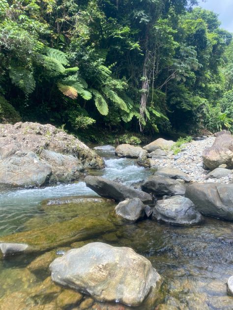 Running river rocks Rio Grande Puerto Rico, Tropical Caribbean, River Waterfall, El Yunque Rainforest, Nature River, Waterfall Adventure, Travel Nature, Rio Grande, Green Aesthetic