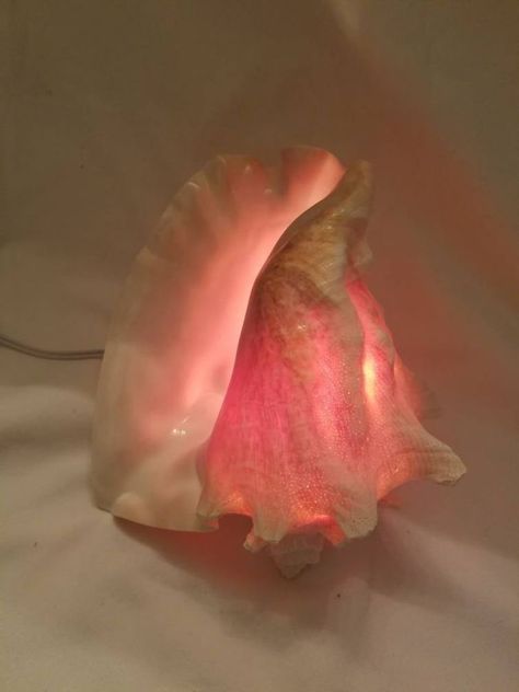 Ocean Themed Room Ideas, Conch Shell Decor, Bathroom Dream, Queen Conch Shell, Nature Ideas, Beach Room Decor, Room Things, Shell Light, Sleeping Quarters