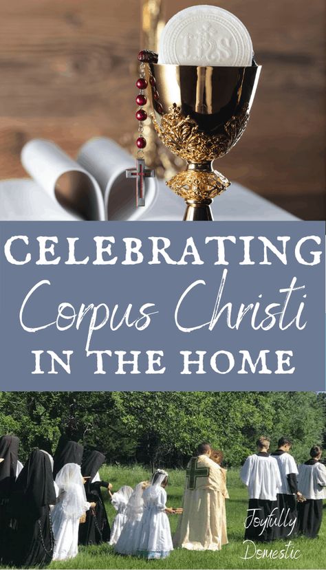 Corpus Christi Catholic, Feast Of Corpus Christi, Catholic Kids Activities, Confirmation Ideas, Catholic Feast Days, Christian Spirituality, Liturgical Living, Liturgical Calendar, Catholic Sacraments