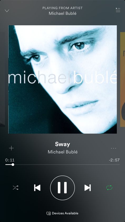 Sway Song, Sway Michael Buble, Wedding Dinner Music, Wedding Playlist, Come Fly With Me, Michael Buble, Incoming Call Screenshot, Songs, Music