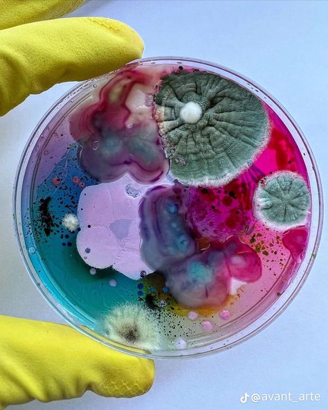 X Cells Project, A Level Textiles, Patent Art Prints, Petri Dishes, Growth And Decay, Bio Art, Petri Dish, Materials Science, Patent Art