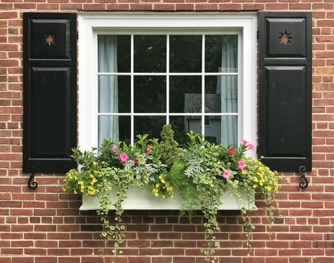 Window Boxes 101: How to Add Flower Boxes for Instant Curb Appeal — Contained Creations Window Box Garden, Shutter Colors, Summer Planter, Transitional Exterior, Box Garden, Box Flowers, Container Garden Design, Window Box Flowers, Flower Window