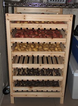 Orchard Rack, Potato Storage Bin, Vegetable Storage Rack, Storing Onions, Potato Storage, Wood Storage Rack, Root Cellar, Survival Gardening, Vegetable Storage