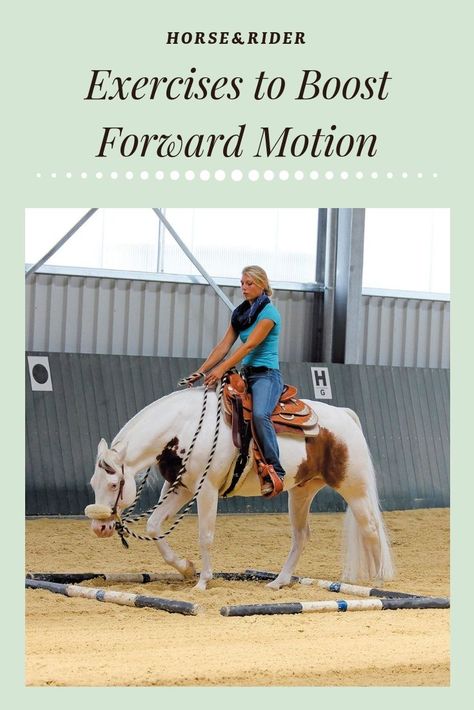 Arena Exercises For Horses, Horse Exercises Western, Survival Knowledge, Horse Education, Riding Exercises, Horse Training Exercises, Horse Ownership, Equine Care, Riding Tips