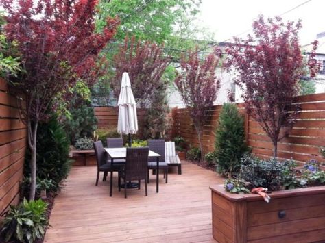 20 Long Narrow Backyard Landscaping Ideas - Scavenger Chic Very Small Garden Ideas, Tree Placement, Small Back Gardens, Backyard Ideas For Small Yards, Small Yard Landscaping, Garden Services, Tree Trimming, Design Landscape, Tree Care