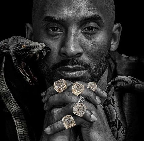 Kobe Bryant Rings, Kobe Brayant, Black Mamba Kobe, Kobe Bryant Lakers, Kobe Bryant Quotes, Kobe Bryant Poster, Kobe Bryant 8, Kobe Mamba, Kobe Bryant Family