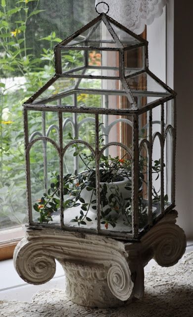 A Victorian Terrarium Antique Terrarium, Victorian Terrariums, Wardian Case, Victorian Greenhouses, Miniature Terrarium, The Little Things In Life, Little Things In Life, Garden Terrarium, Indoor Gardens