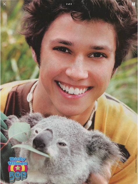 Raviv Ullman, Ricky Ullman, Phil Of The Future, Pin Up Posters, Koala Bear, Koala, Pin Up, Animals