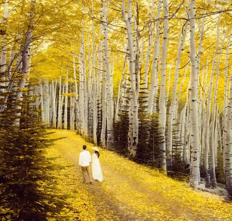 Planning Your Dream Mountain Wedding In Aspen - Aspen Fall Wedding - Aspen Grove Wedding, Aspen Summer, Aspen Fall, Fall Mountain Wedding, Aspen Grove, Aspen Mountain, Fall Wedding Photos, Beautiful Wedding Photography, Art Frames