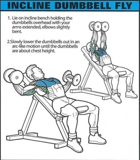 Pec Fly, Chest Training, Dumbbell Fly, Best Chest Workout, Trening Fitness, Weight Training Workouts, Muscle Training, Chest Workouts, Big Muscles