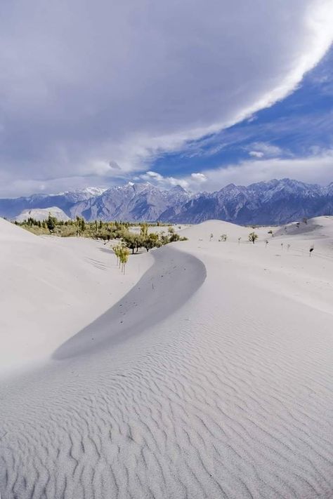 #cold #desert #tree #skardu #Pakistan #abovesealevel Skardu Valley, Cold Desert, Pakistan Tourism, Cold Deserts, History Of Pakistan, Pakistan Travel, Start Of Winter, Gilgit Baltistan, Sustainable Tourism