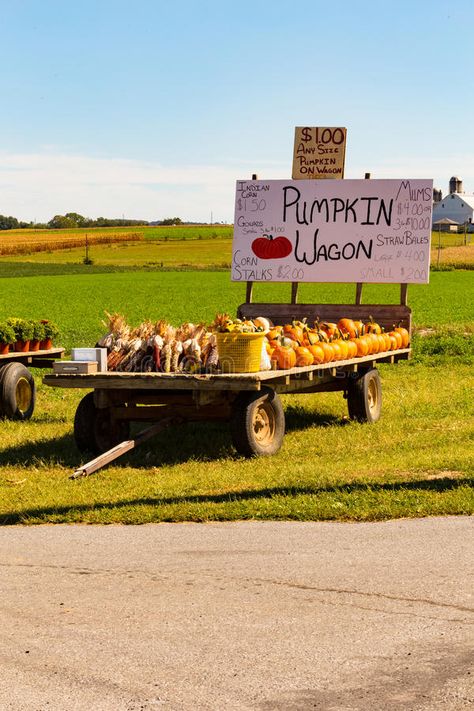 Pumpkin Wagon Lancaster County royalty free stock image Pumpkin Wagon, Pumpkin Patch Farm, Farm Fresh Pumpkins, Corn Stalks, Pumpkin Images, Pumpkin Squash, Indian Corn, Pumpkin Farm, Lancaster County