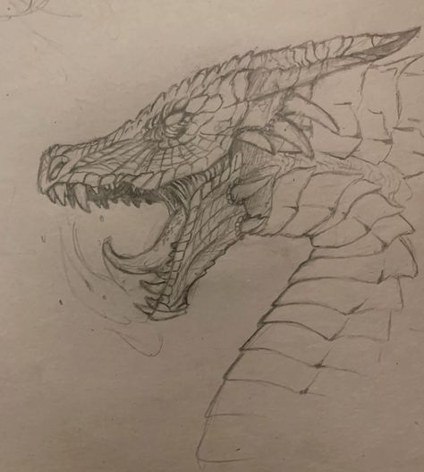 Late night dragon sketch 🐉 #sketch #drawing #drawingoftheday #dragon Dragon Head Side View, Dragon Side Profile, Dragon Side View, Dragon Sketch Easy, How To Draw A Dragon, Dragon Art Drawing, Mythical Drawings, Dragon Line Drawing, Dragon Drawing Sketches