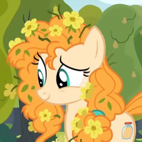 Pear Butter, Pear, Butter, Trees, Orange, Flowers, Hair