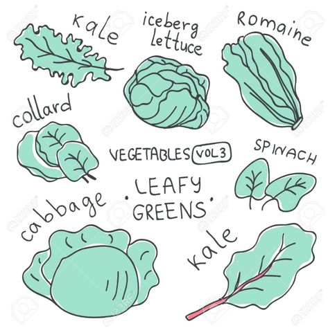 Doodle Vegetables, Lettuce Romaine, Fruit Tattoo, Food Doodles, Chalk Sign, Lino Art, Flat Icons Set, Iceberg Lettuce, Leafy Vegetables