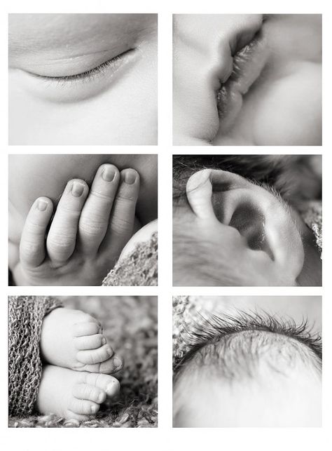 details.. Foto Newborn, Baby Poses, Foto Tips, Foto Baby, Montage Photo, Newborn Shoot, Baby Portraits, Newborn Baby Photography, Newborn Photoshoot