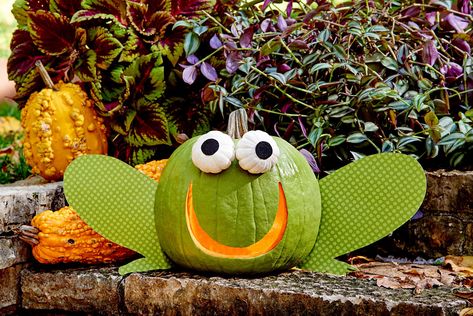 Frog Pumpkin Carving, Frog Pumpkin, Owl Pumpkin Carving, Kids Pumpkin Carving, Creative Pumpkin Carving Ideas, Funny Pumpkin Carvings, Fall Front Door Decor, Cute Pumpkin Carving, Owl Pumpkin