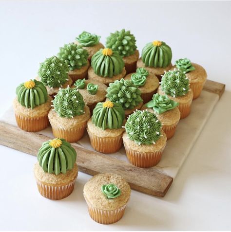 Cactus Cupcakes Cupcakes Succulents, Fiesta Mexicana Ideas, Succulent Cakes, Easy Dessert Bars, Cactus Cupcakes, Succulent Cupcakes, Cactus Cake, Diy Designs, Cupcake Party