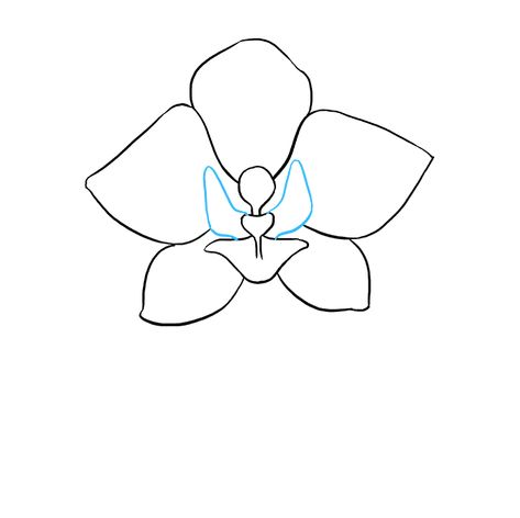 How to Draw Orchid: Step 6 Orchid Doodle, Draw Orchid, Veil Inspiration, Orchid Drawing, Orchids Painting, Easy Flower Drawings, Orchid Tattoo, Draw Flowers, Flower Drawing Tutorials