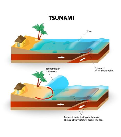 Want to read more information about tsunami facts for kids? Here they go. Your little tot will surely be curious to know about this fun tsunami facts. Tsunami For Kids, Natural Disasters For Kids, Trivia Questions For Kids, Tsunami Waves, Moral Stories For Kids, 10 Interesting Facts, Bible Stories For Kids, Facts For Kids, Science Project