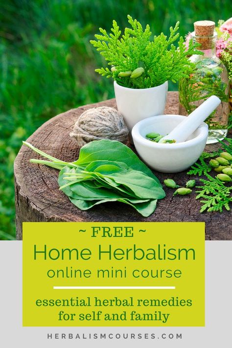 Join this FREE online herbalism course featuring essential herbal remedies for self and family. #herbalism #herbalremedies #herbalcourse #courses #herbs #herbalist Herbalism Books, Medicinal Gardening, Herbal Education, Natural Things, Holistic Health Remedies, Herbal Apothecary, Witch Craft, Cold Home Remedies, Herbal Teas