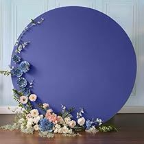 Party Backdrop Stand, Sweetheart Table Backdrop, Bougainvillea Wedding, Wedding Arches Outdoors, Metal Wedding Arch, Circle Backdrop, Hot Pink Weddings, Baby Shower Photography, Blue Bridal Shower