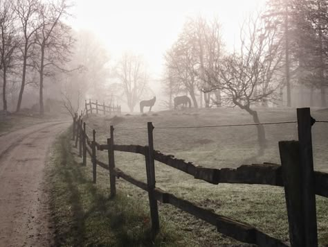 Foggy Village, Cow Oc, Cozy Horror, Foggy Nature, Scary Farm, The Milkman, Life In The Countryside, Nature Witch, The Rake