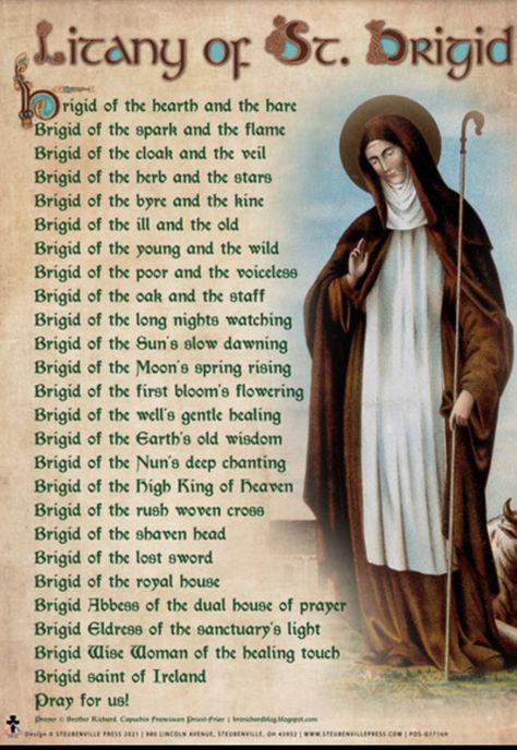 Saint Brigid Of Kildare, St Brigid Of Ireland, Saint Brigid, St Bridget, Fire Festival, St Brigid, Irish Quotes, Spring Roses, Irish Blessing