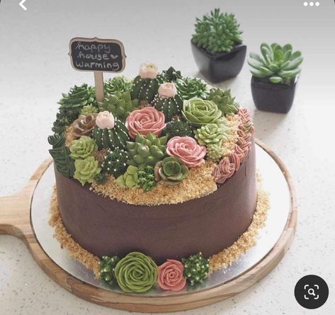 Two Tier Succulent Cake, House Warming Desserts, Cake Plant Design, Cake Plants Design, Plant Cake Design, Cake Terrarium, Plant Cakes Ideas, Terrarium Cake, House Warming Cake