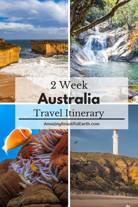 2 Weeks In Australia, Australia Two Week Itinerary, Australia Itinerary 10 Days, Australia Itinerary, Daintree Rainforest, Australia Vacation, Hamilton Island, Airlie Beach, Bucket List Destinations