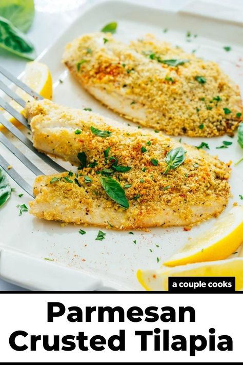 This Parmesan crusted tilapia is perfectly seasoned, with a crunchy exterior and tender on the inside. It's a dish everyone will love! #tilapia #parmesancrustedtilapia #easytilapia #tilapiarecipe #fishrecipe #easydinner #healthydinner Dinner Recipes Fish, Parmesan Crusted Tilapia, Vegan Brunch Recipes, Best Fish Recipes, A Couple Cooks, Winter Salad Recipes, Salad Dressing Recipes Healthy, Crusted Tilapia, Recipes Fish